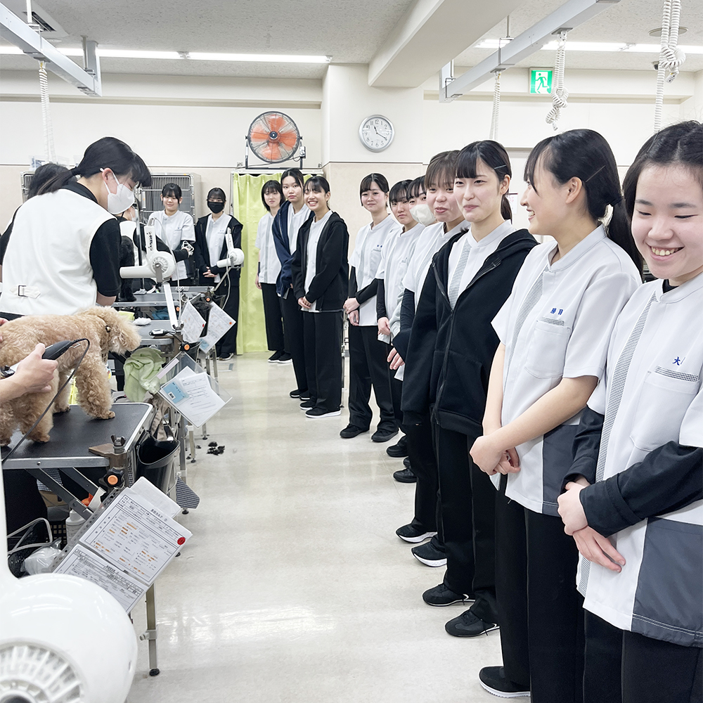 先輩のトリミングを見学☆